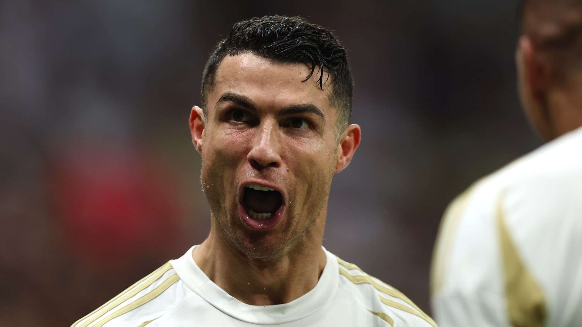 何备受关注 何备受关注